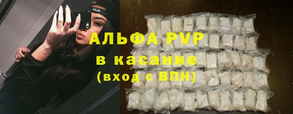 гашик Арсеньев