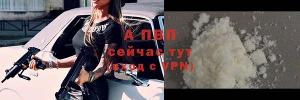 гашик Арсеньев