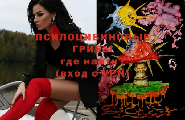 гашик Арсеньев