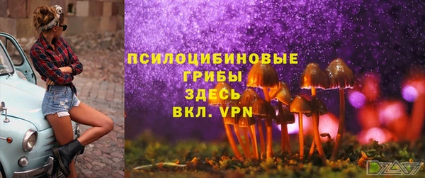 прущая мука Армянск