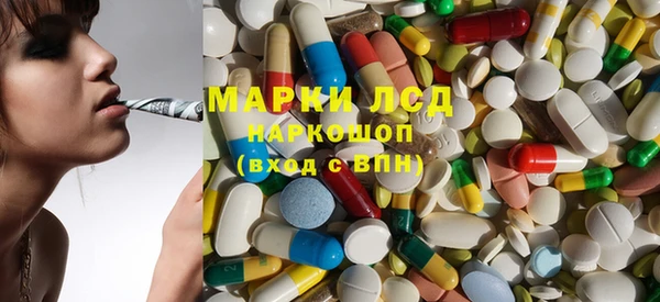 гашик Арсеньев