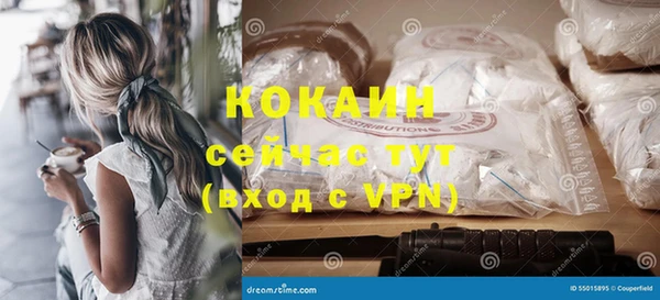 гашик Арсеньев