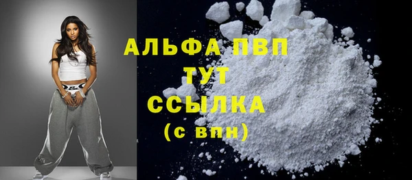 гашик Арсеньев